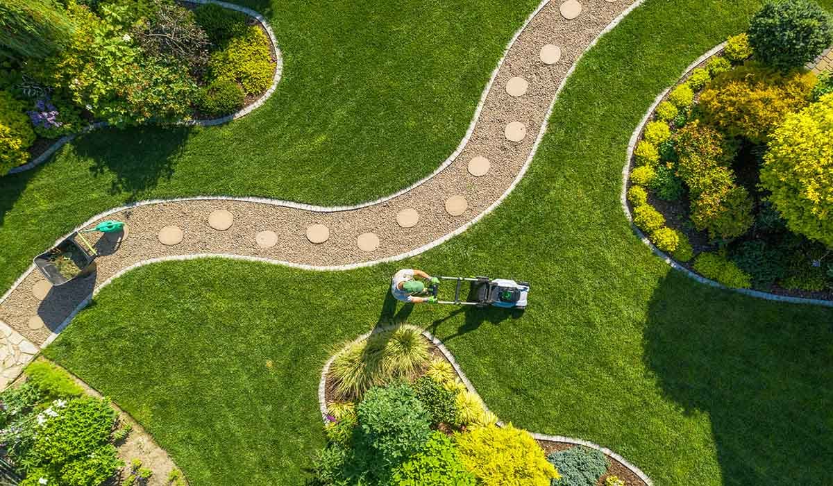 Tidy walkway and planting beds