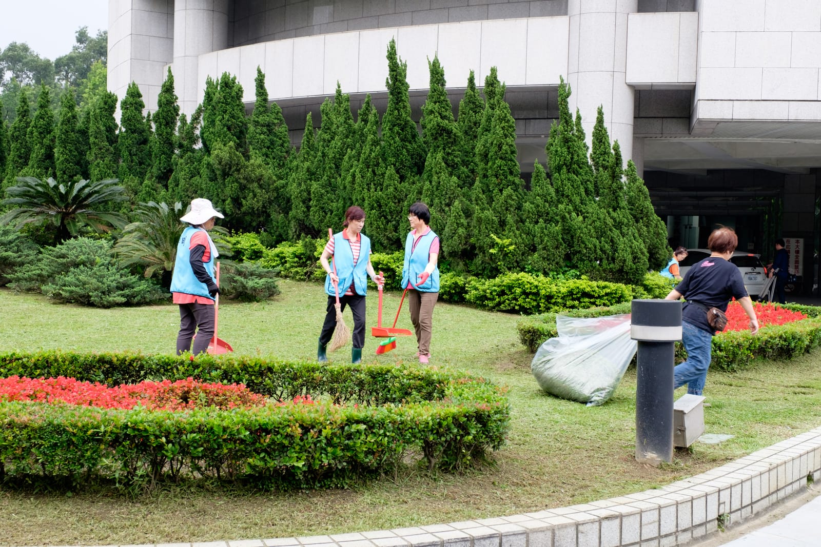 Leaf cleanup in progress