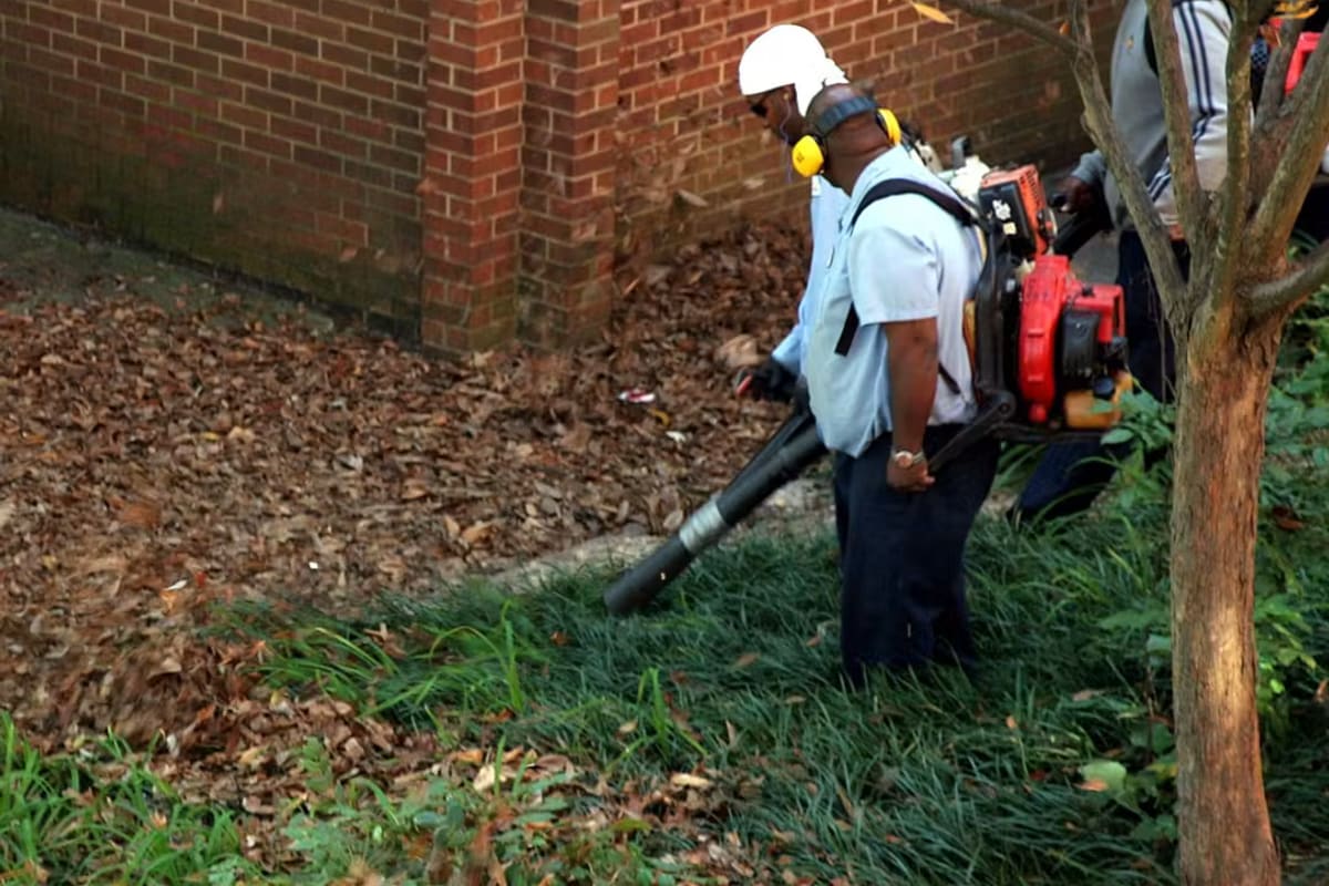 Leaves cleared from a yard with a blower in Worcester, MA
