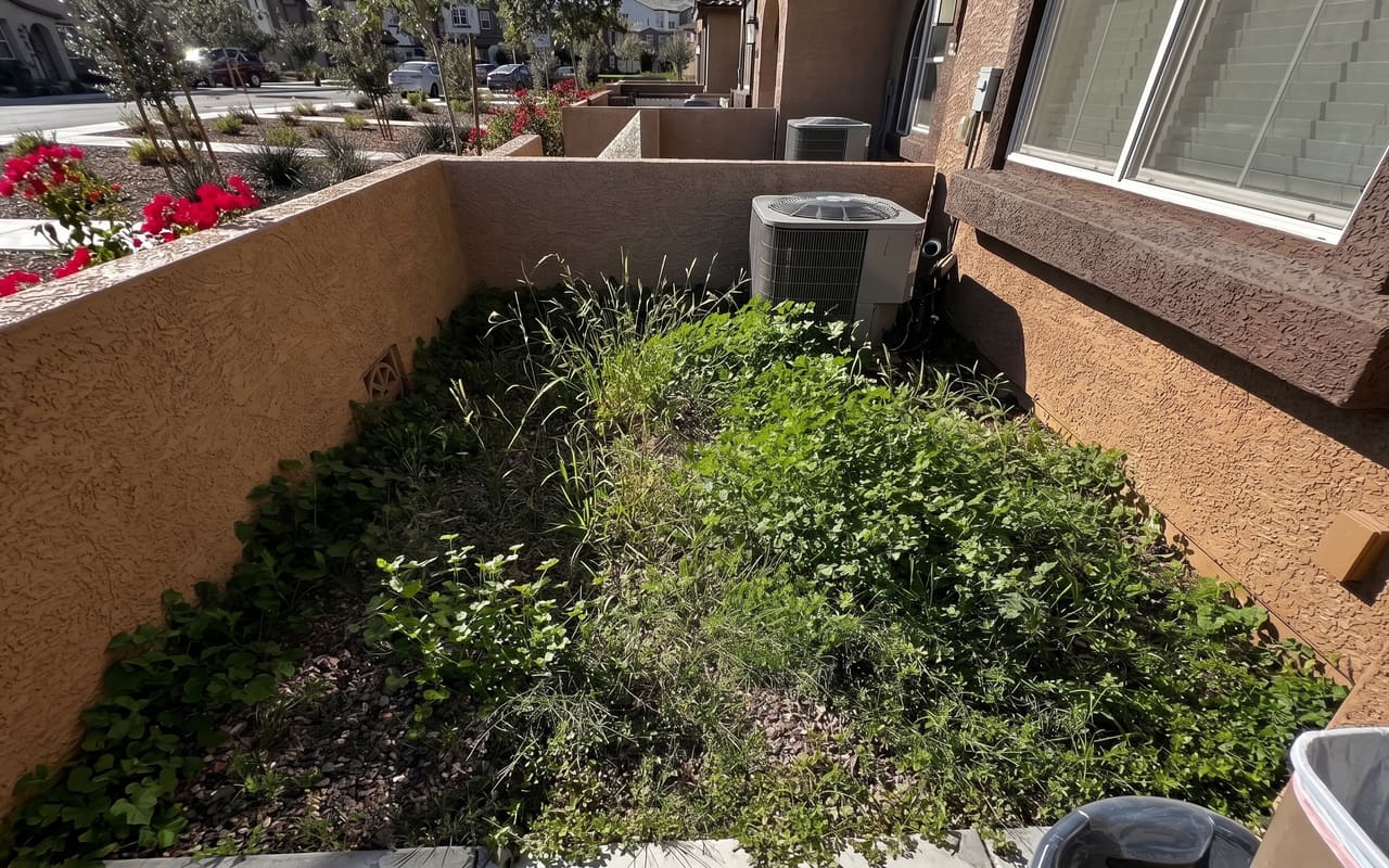 Garden Bed Weeding — before